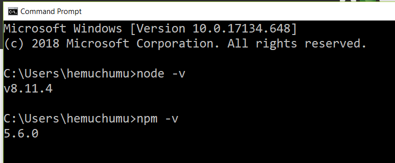 Node and NPM version command